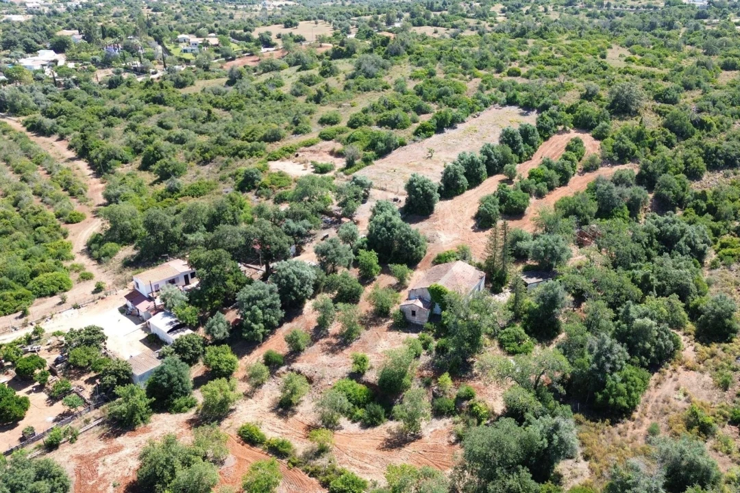 Terreno para Venda em Alcantarilha e Pêra Foto 9