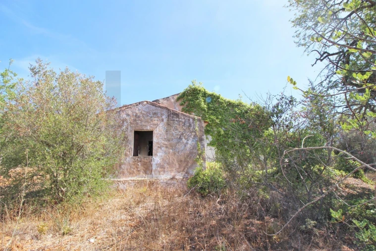 Terreno para Venda em Alcantarilha e Pêra Foto 12