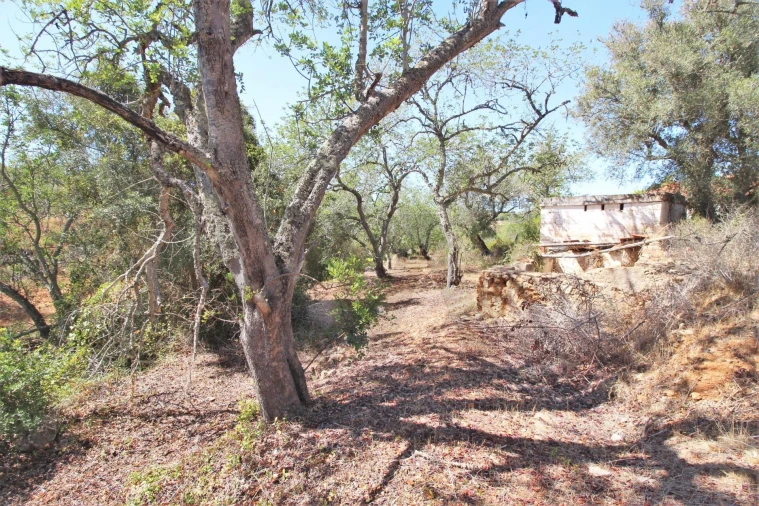 Terreno para Venda em Alcantarilha e Pêra Foto 20