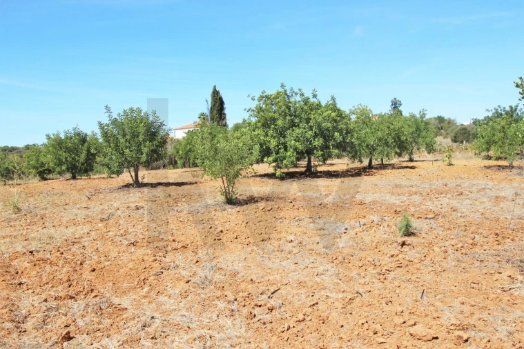Terreno para Venda em Alcantarilha e Pêra Foto 29