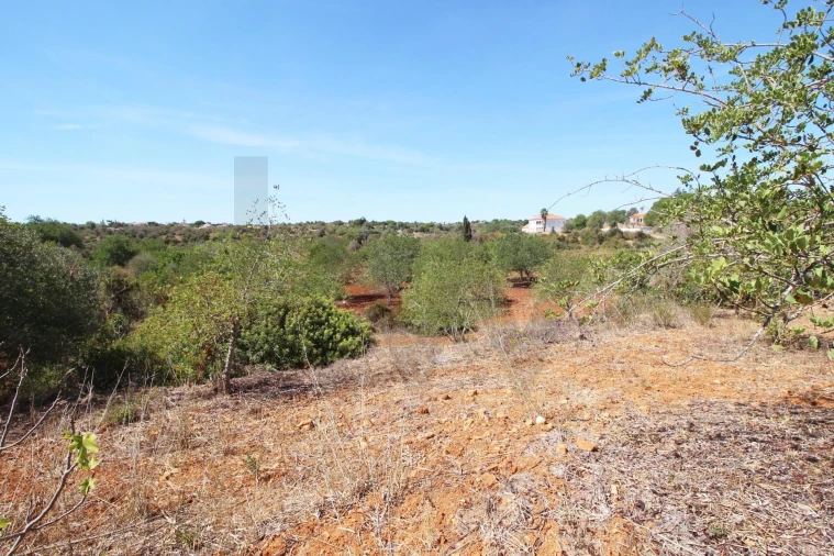 Terreno para Venda em Alcantarilha e Pêra Foto 9