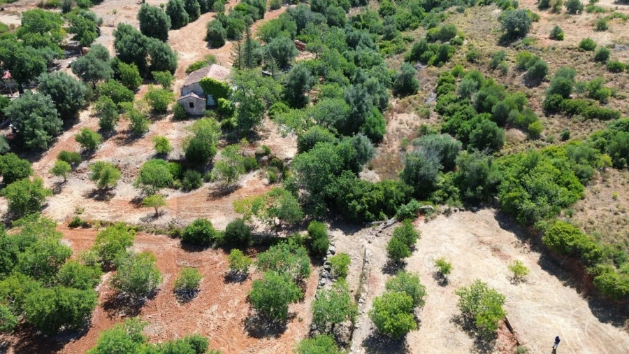 Terreno para Venda em Alcantarilha e Pêra Foto 35