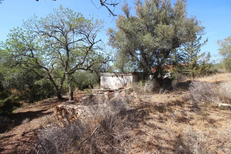 Terreno para Venda em Alcantarilha e Pêra Foto 5