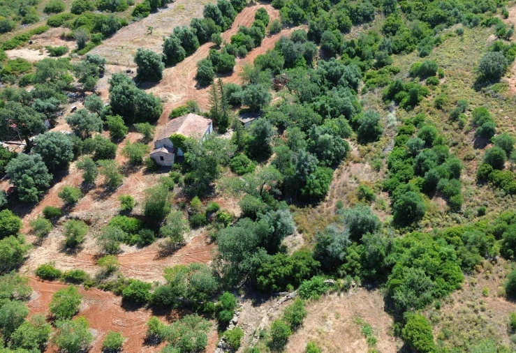 Terreno para Venda em Alcantarilha e Pêra Foto 6