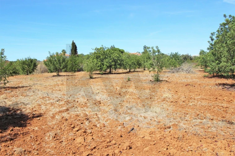 Terreno para Venda em Alcantarilha e Pêra Foto 27