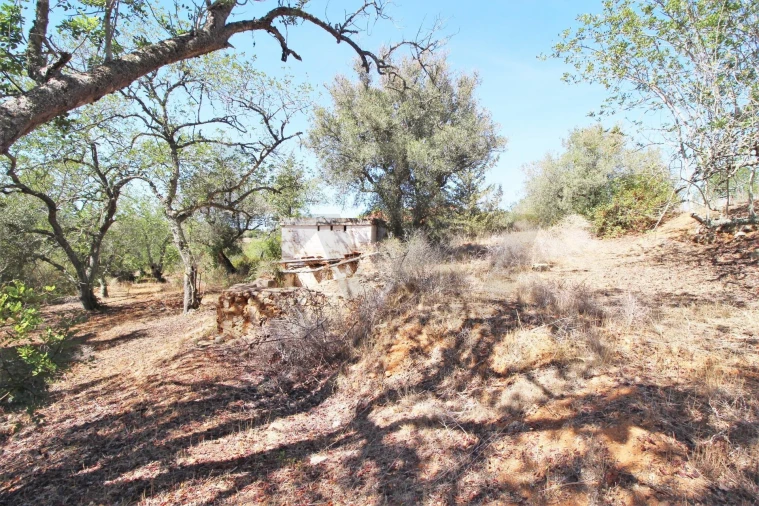 Terreno para Venda em Alcantarilha e Pêra Foto 19