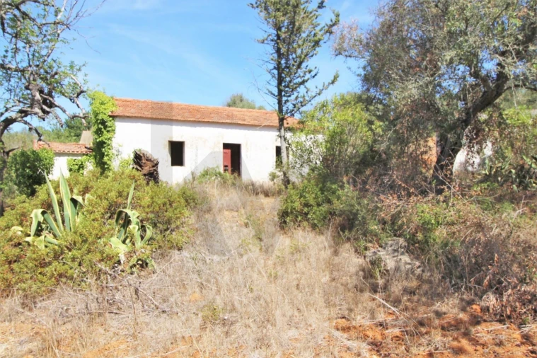 Terreno para Venda em Alcantarilha e Pêra Foto 13