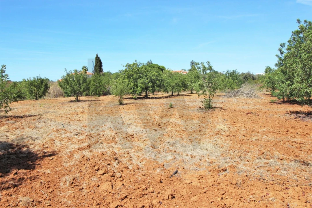Terreno para Venda em Alcantarilha e Pêra Foto 27