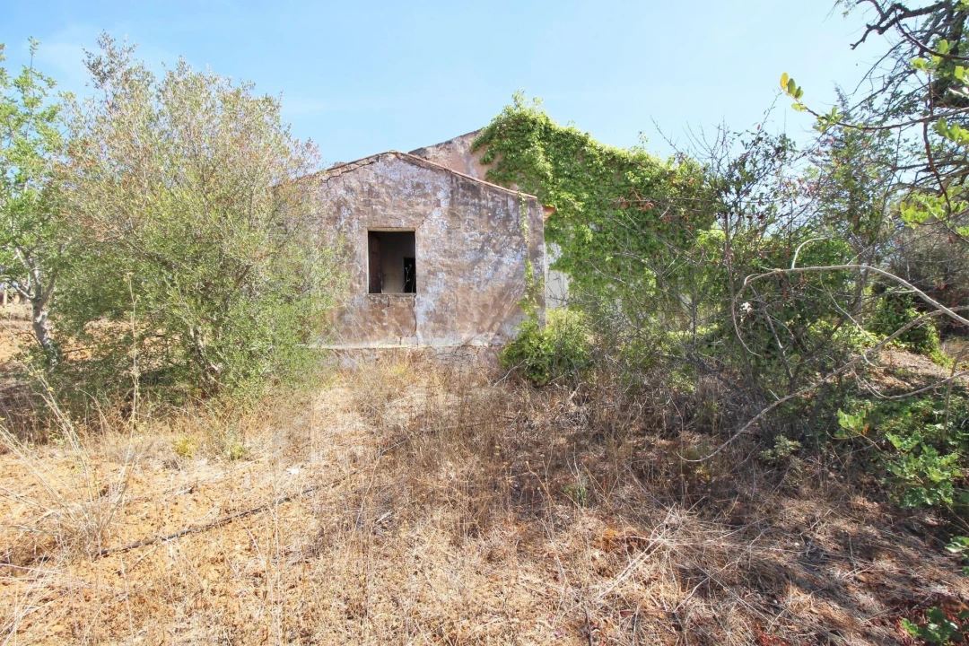 Terreno para Venda em Alcantarilha e Pêra Foto 10