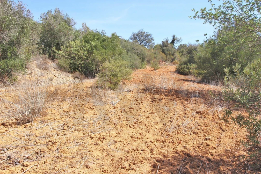 Terreno para Venda em Alcantarilha e Pêra Foto 23