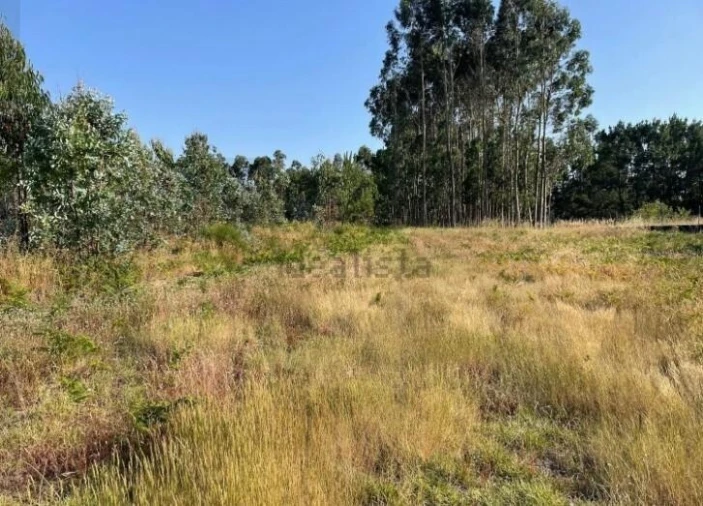 Terreno para Venda em Alhadas Foto 2