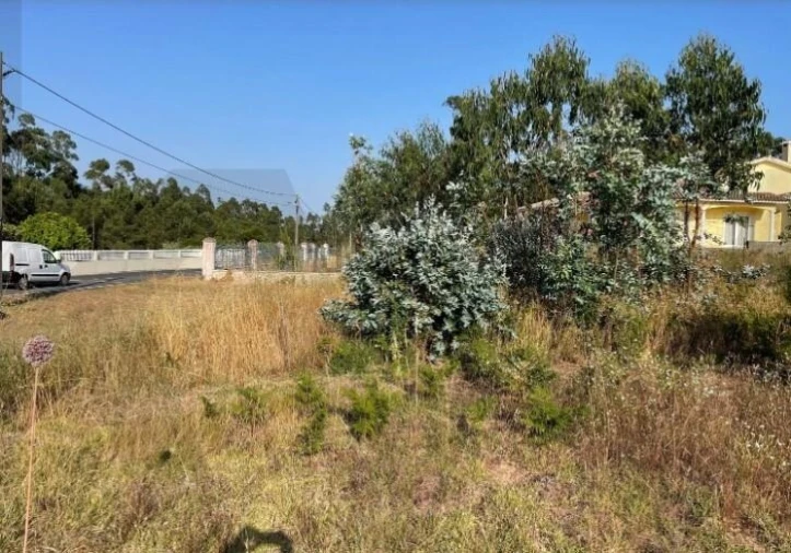 Terreno para Venda em Alhadas