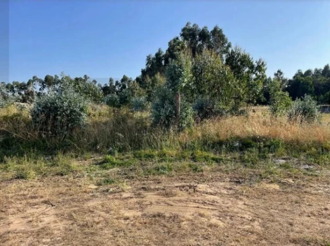 Terreno para Venda em Alhadas Foto 4