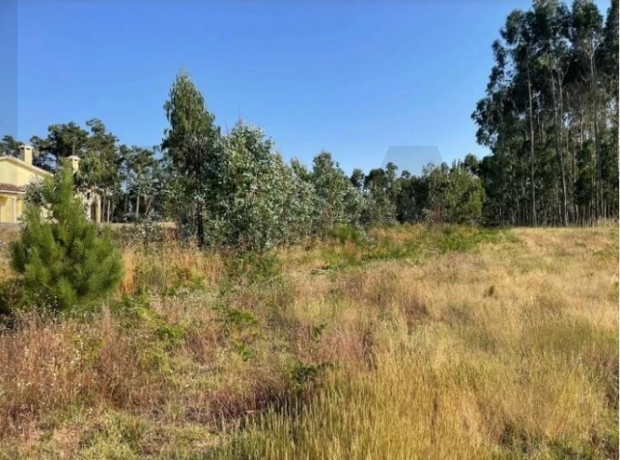 Terreno para Venda em Alhadas Foto 3