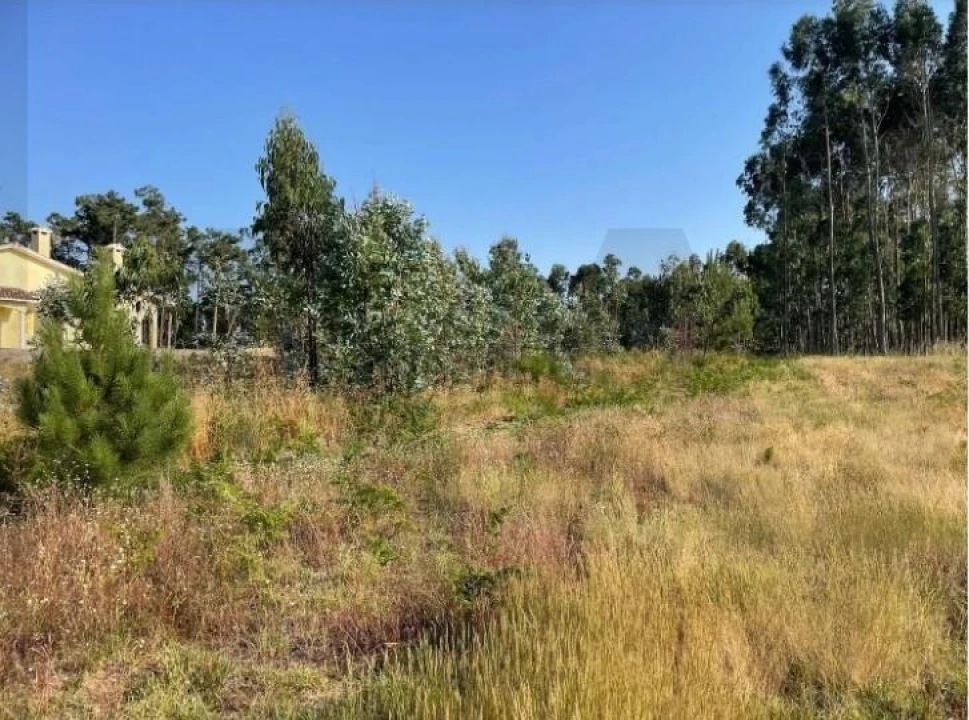 Terreno para Venda em Alhadas Foto 3