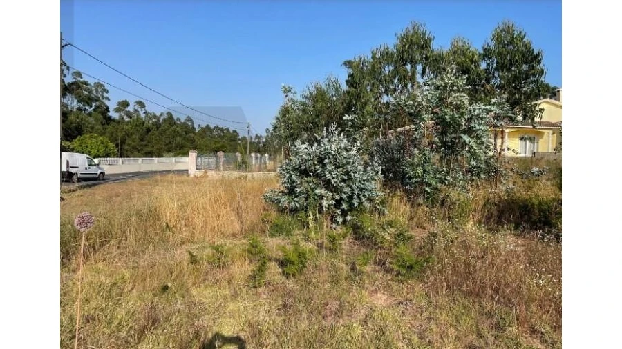 Terreno para Venda em Alhadas