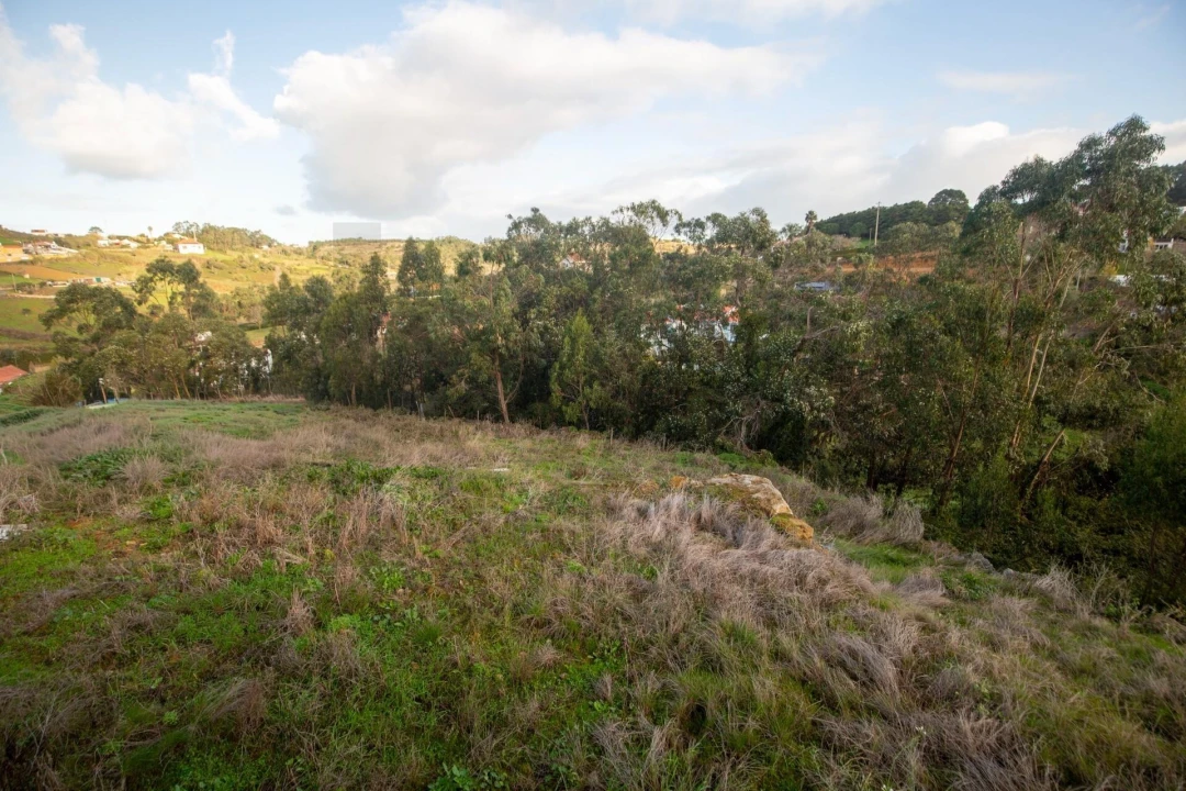 Moradia T5 para Venda em Santo Isidoro Foto 3
