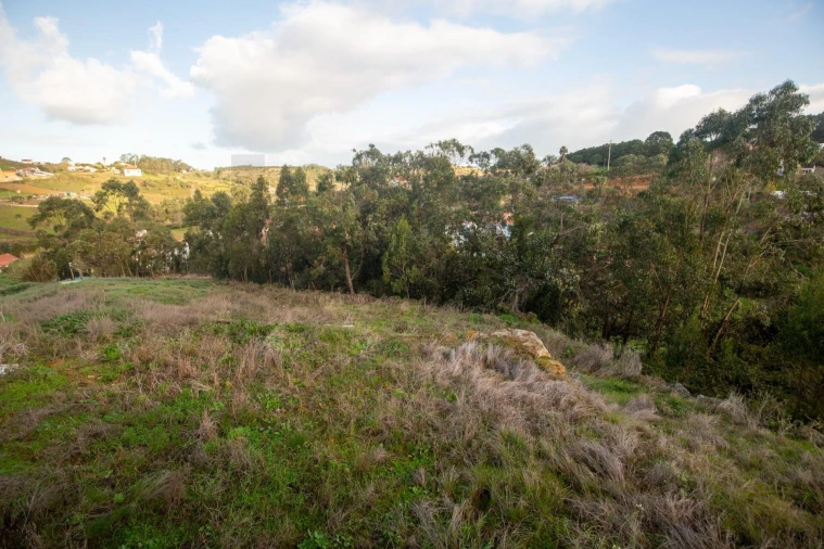 Moradia T5 para Venda em Santo Isidoro Foto 3