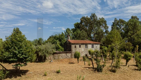 Quinta T3 para Venda em Covas