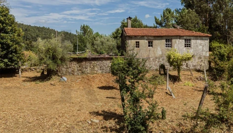 Quinta T3 para Venda em Covas