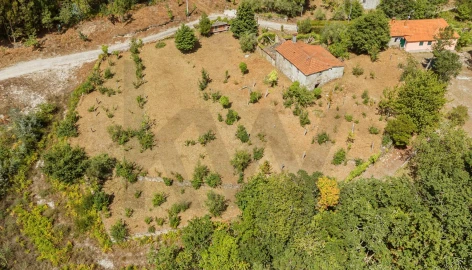Quinta T3 para Venda em Covas