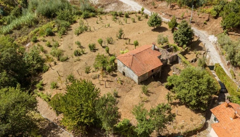 Quinta T3 para Venda em Covas