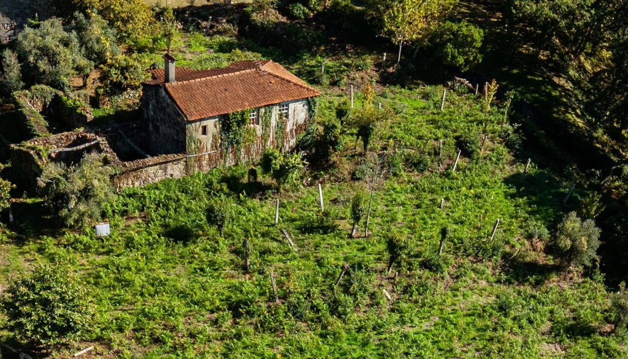 Quinta T3 para Venda em Covas Foto 1