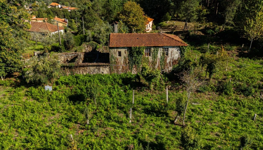 Quinta T3 para Venda em Covas Foto 6