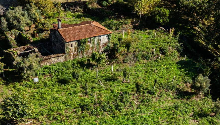 Quinta T3 para Venda em Covas