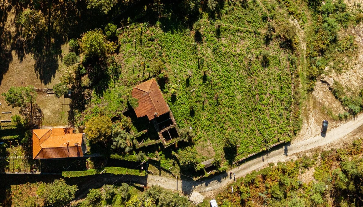 Quinta T3 para Venda em Covas Foto 2