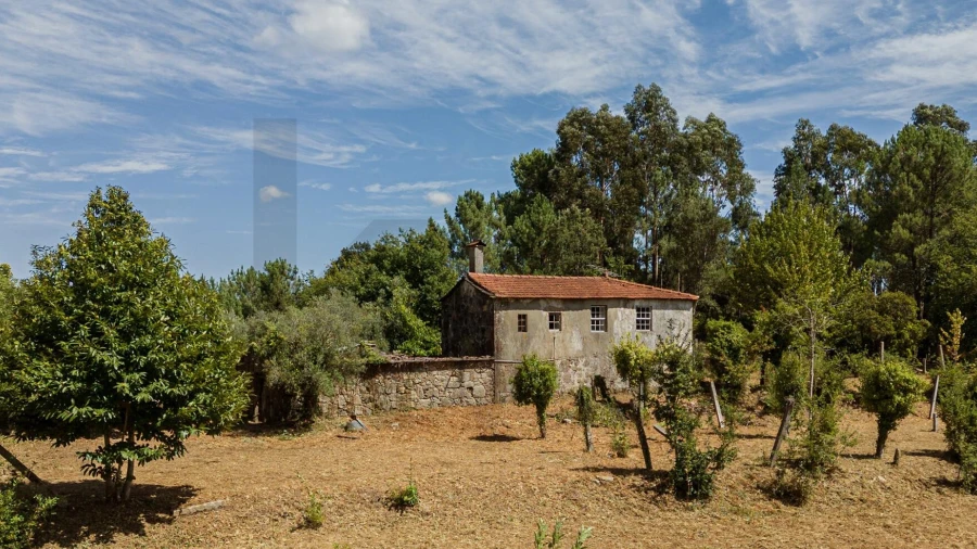 Quinta T3 para Venda em Covas
