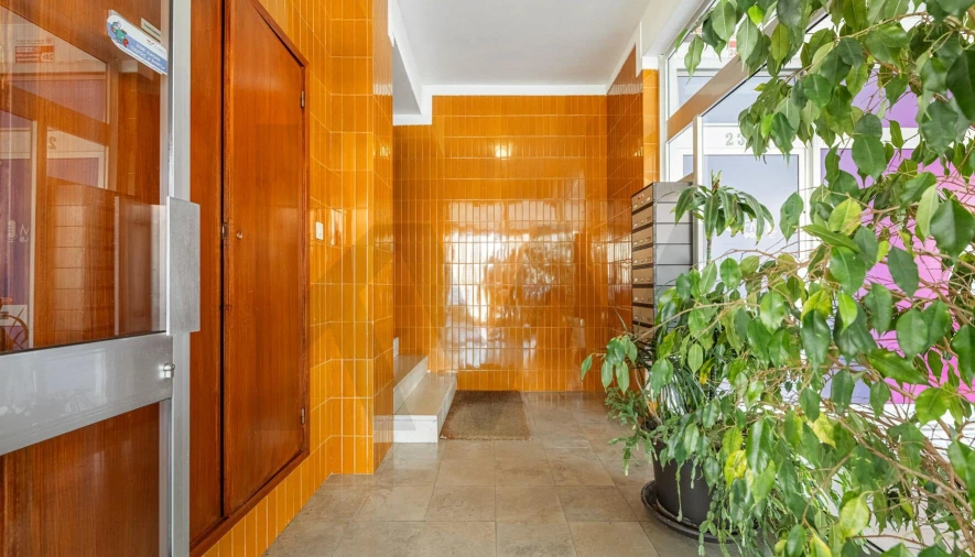 Apartamento T4 para Arrendamento em Subportela, Deocriste e Portela Susã Foto 6