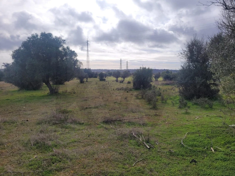 Terreno para Venda em Algoz e Tunes Foto 5