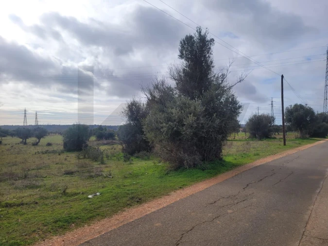 Terreno para Venda em Algoz e Tunes Foto 8