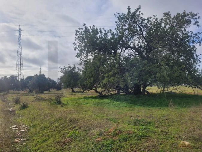 Terreno para Venda em Algoz e Tunes Foto 2