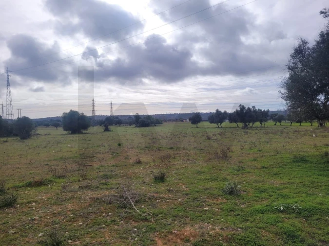 Terreno para Venda em Algoz e Tunes Foto 1