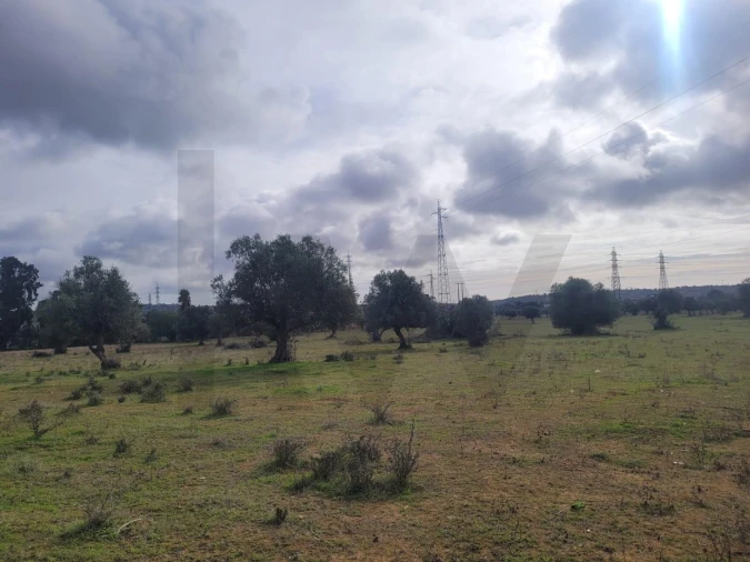 Terreno para Venda em Algoz e Tunes Foto 13