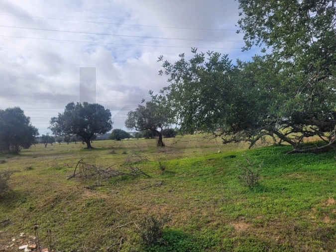 Terreno para Venda em Algoz e Tunes Foto 3