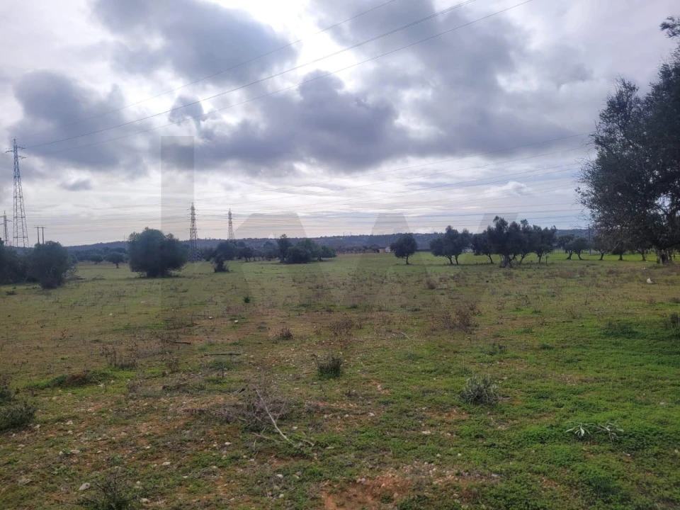 Terreno para Venda em Algoz e Tunes Foto 1