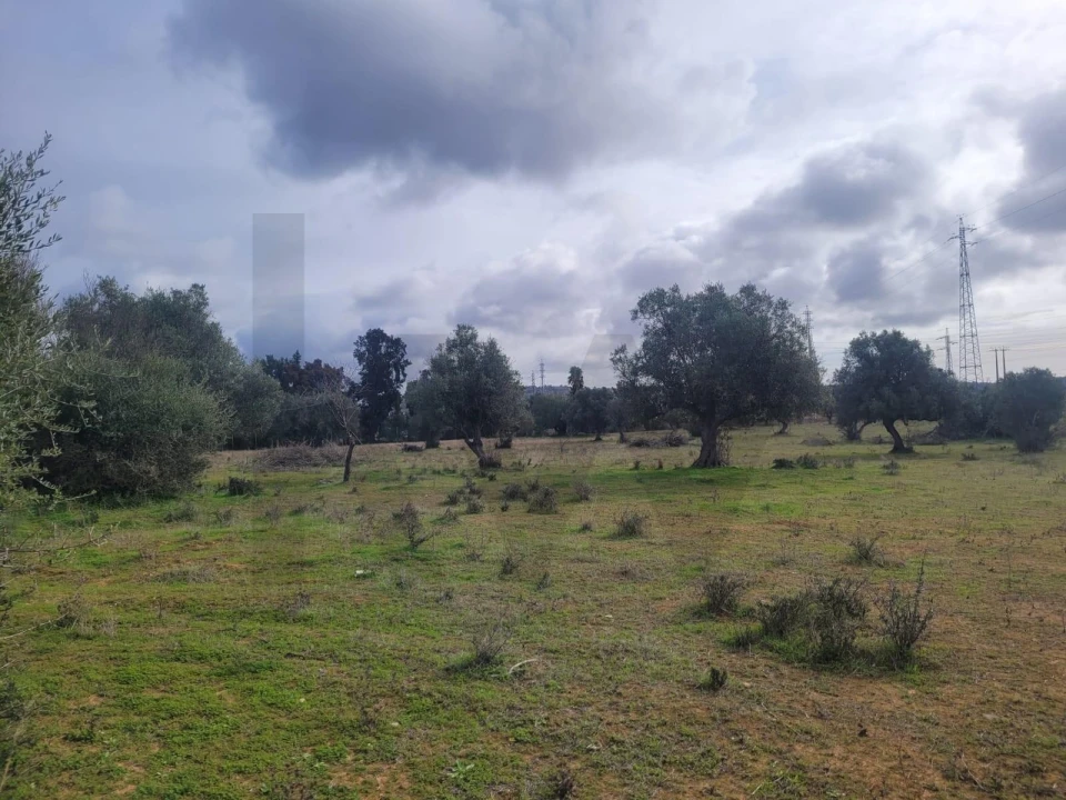 Terreno para Venda em Algoz e Tunes Foto 12