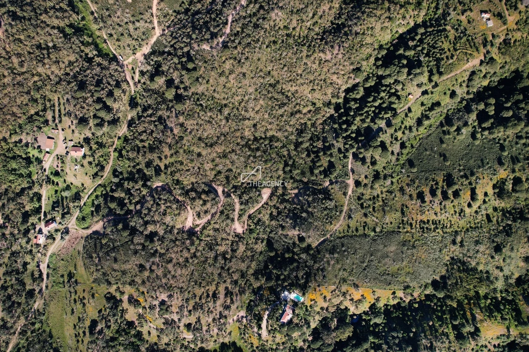 Terreno para Venda em Melides Foto 14