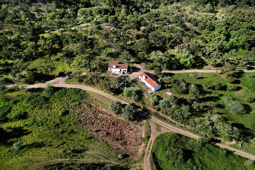 Terreno para Venda em Melides Foto 3