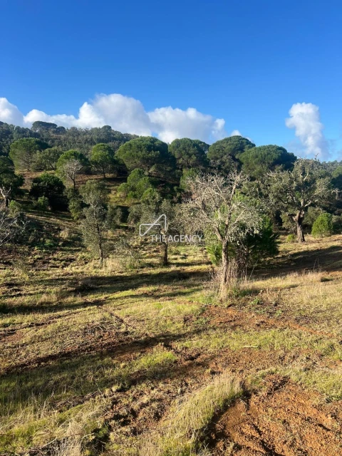 Terreno para Venda em Melides