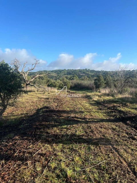 Terreno para Venda em Melides