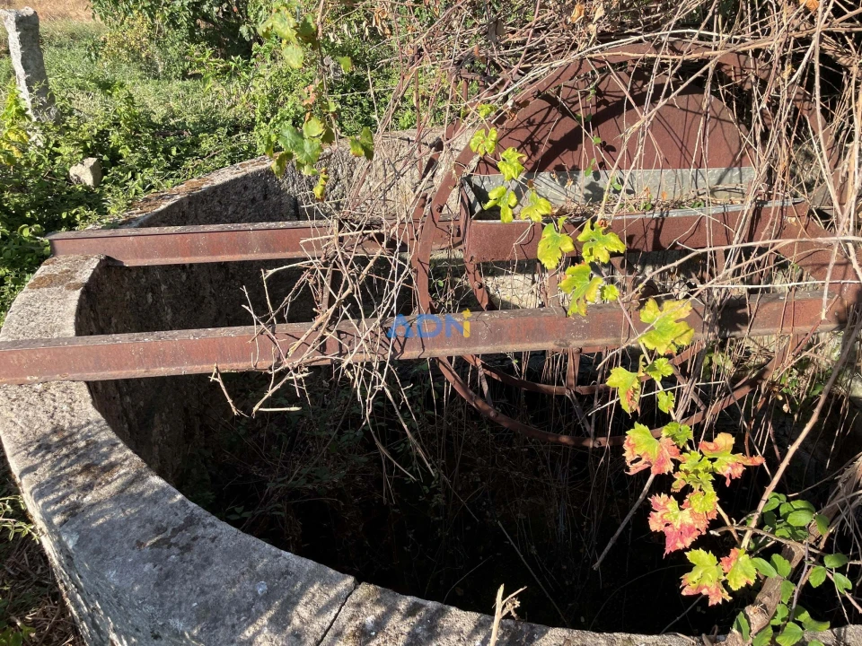 Terreno para Venda em Alcains Foto 17