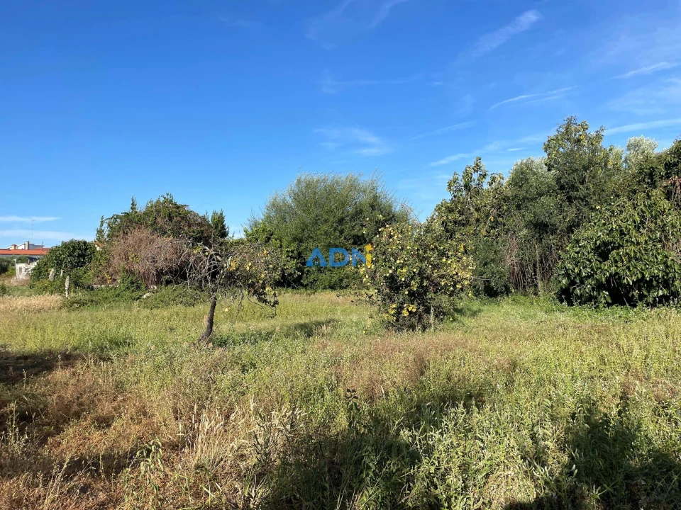 Terreno para Venda em Alcains Foto 11