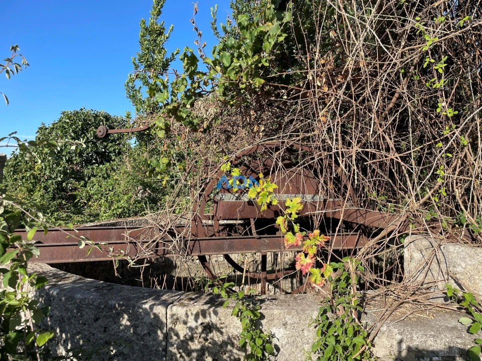 Terreno para Venda em Alcains Foto 15