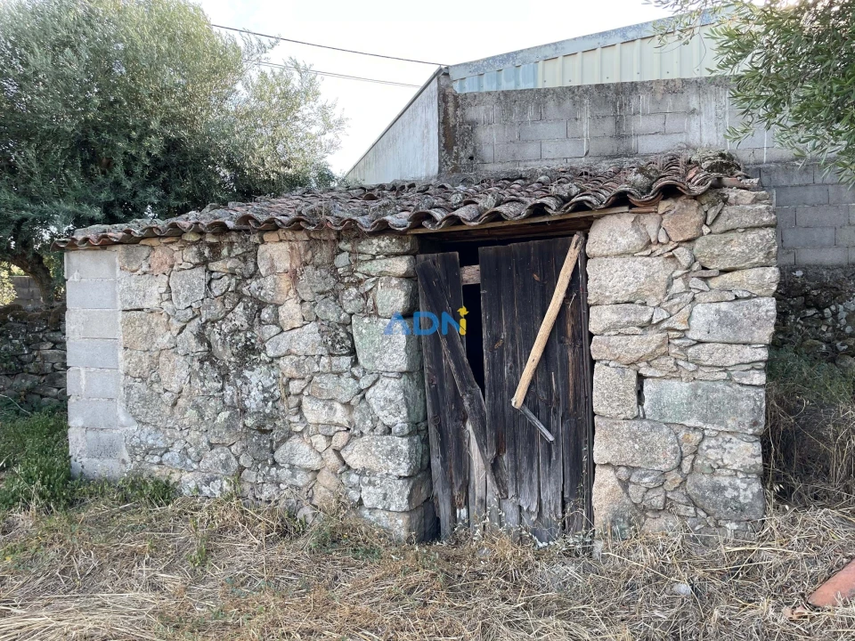 Terreno para Venda em Alcains Foto 12