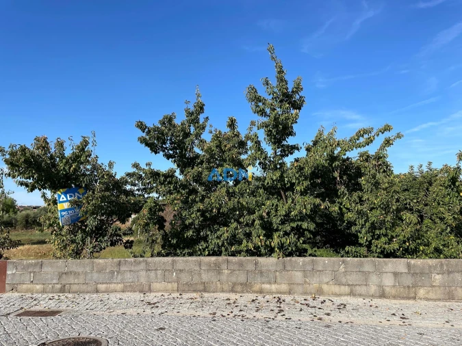 Terreno para Venda em Alcains Foto 7