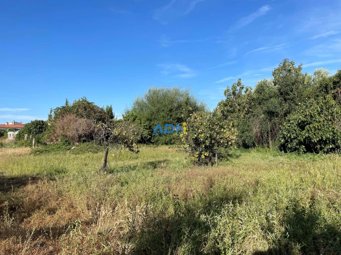 Terreno para Venda em Alcains Foto 11